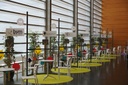 Stand Start-up