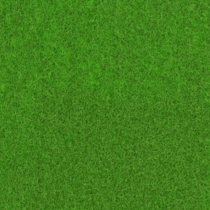 Moquette Expostyle Vert 9631 Spring Green