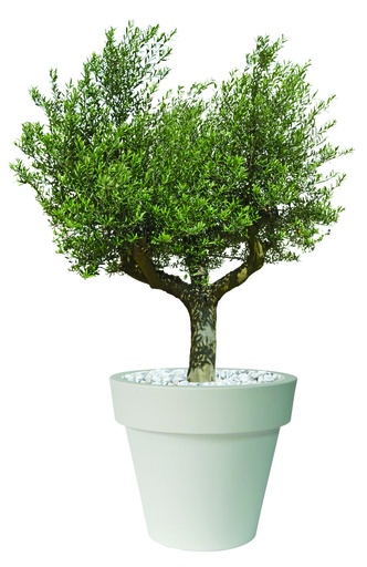 Composition végétale sur contenant/mange-debout design ht 2500 m/m (copie)